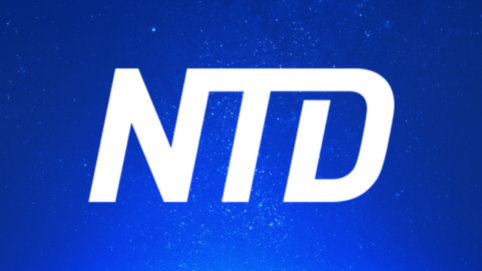 Logo for NTD