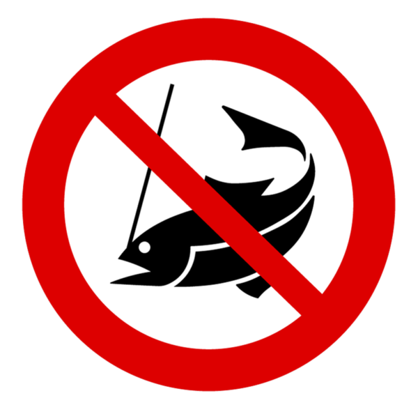 Image of No phishing sign