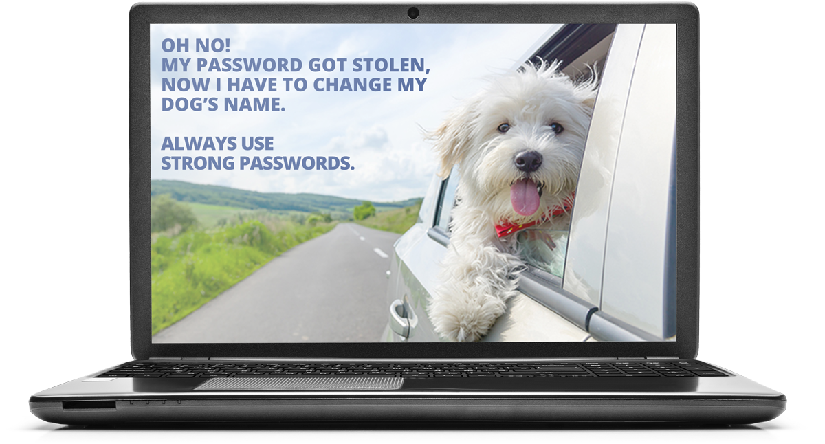 Security Awareness Training Screensavers Examples of Security Mentor security awareness training screensavers